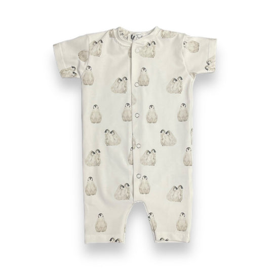 Boxpakje zomer penguin - Smart Simple